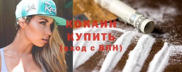 винт Лагань