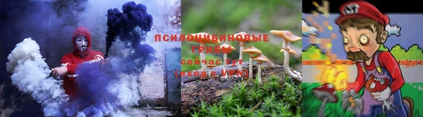 винт Лагань
