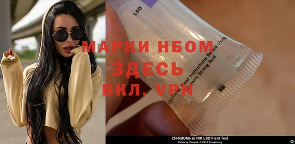 винт Лагань