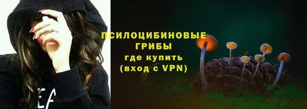 винт Лагань