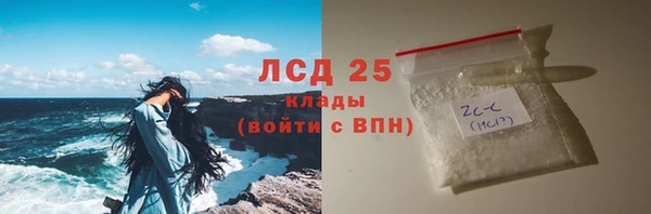 спайс Ладушкин