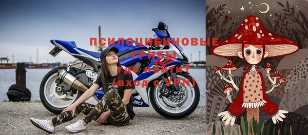 спайс Ладушкин