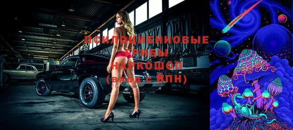 спайс Ладушкин