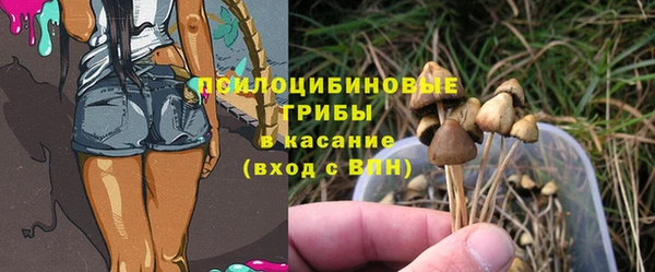 спайс Ладушкин