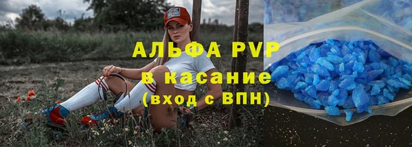 спайс Ладушкин